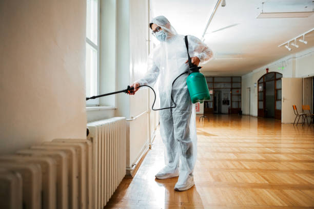 Best Real Estate Pest Inspections  in Birch Run, MI